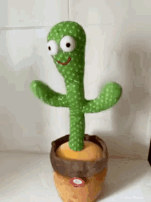 Cactus bailarines y juguetes interactivos parlantes